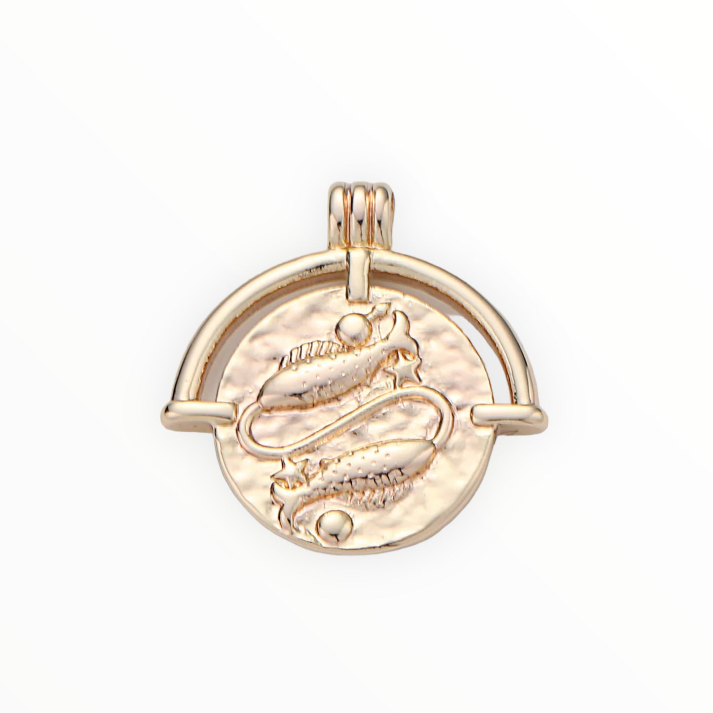 Medallion Zodiac Charm 14k GF