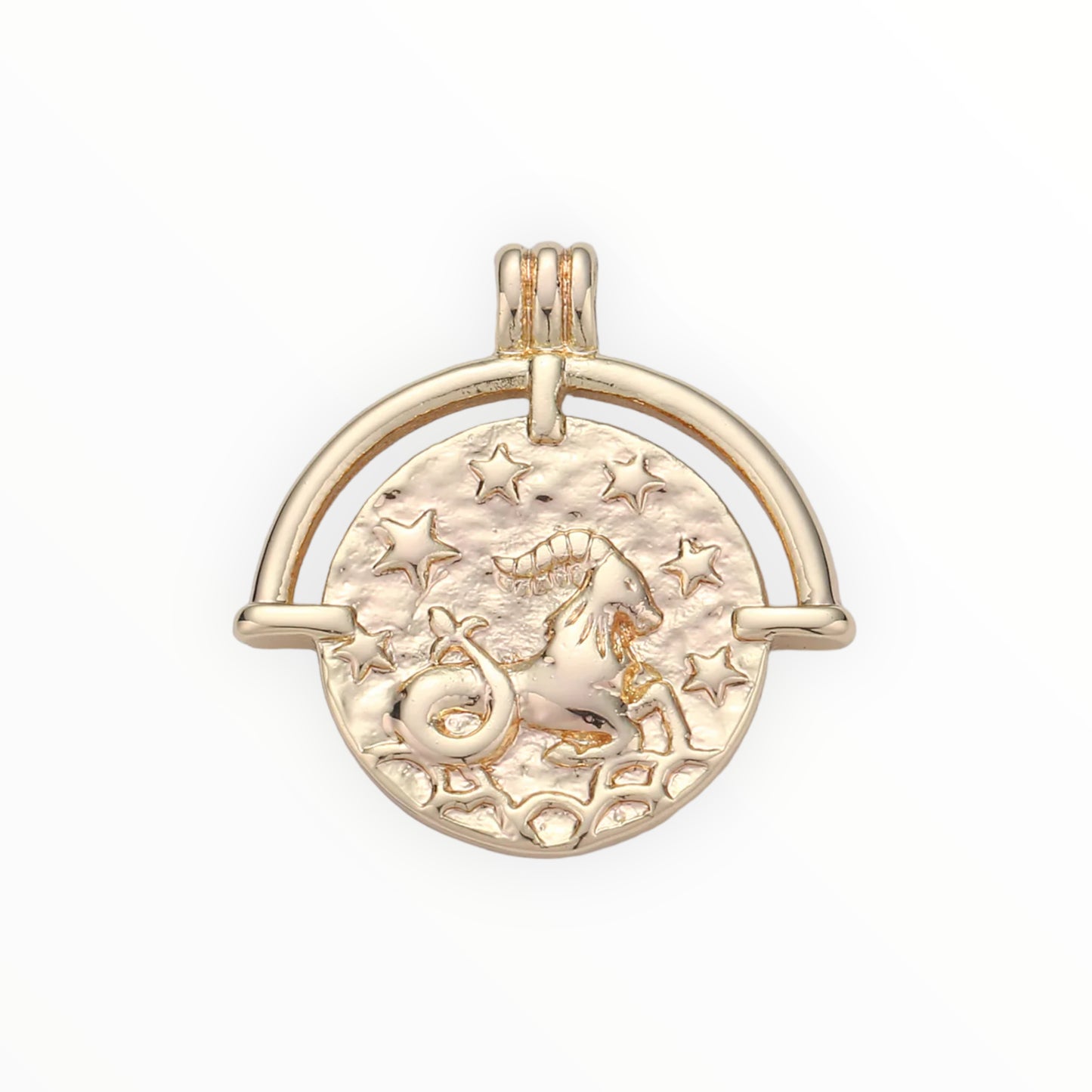 Medallion Zodiac Charm 14k GF