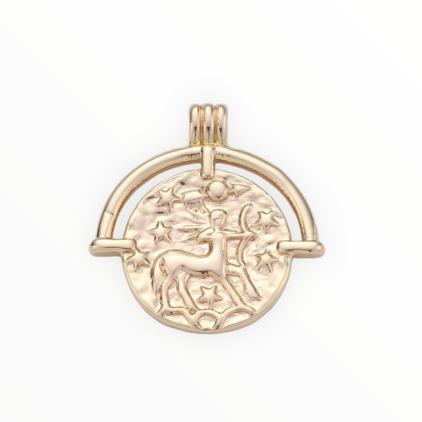 Medallion Zodiac Charm 14k GF