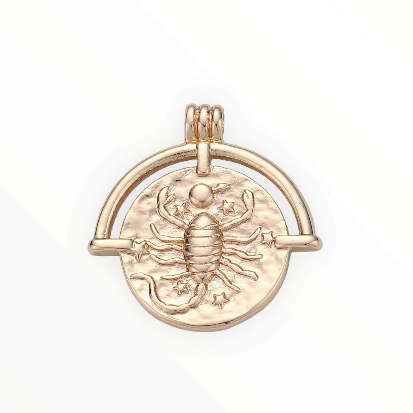 Medallion Zodiac Charm 14k GF