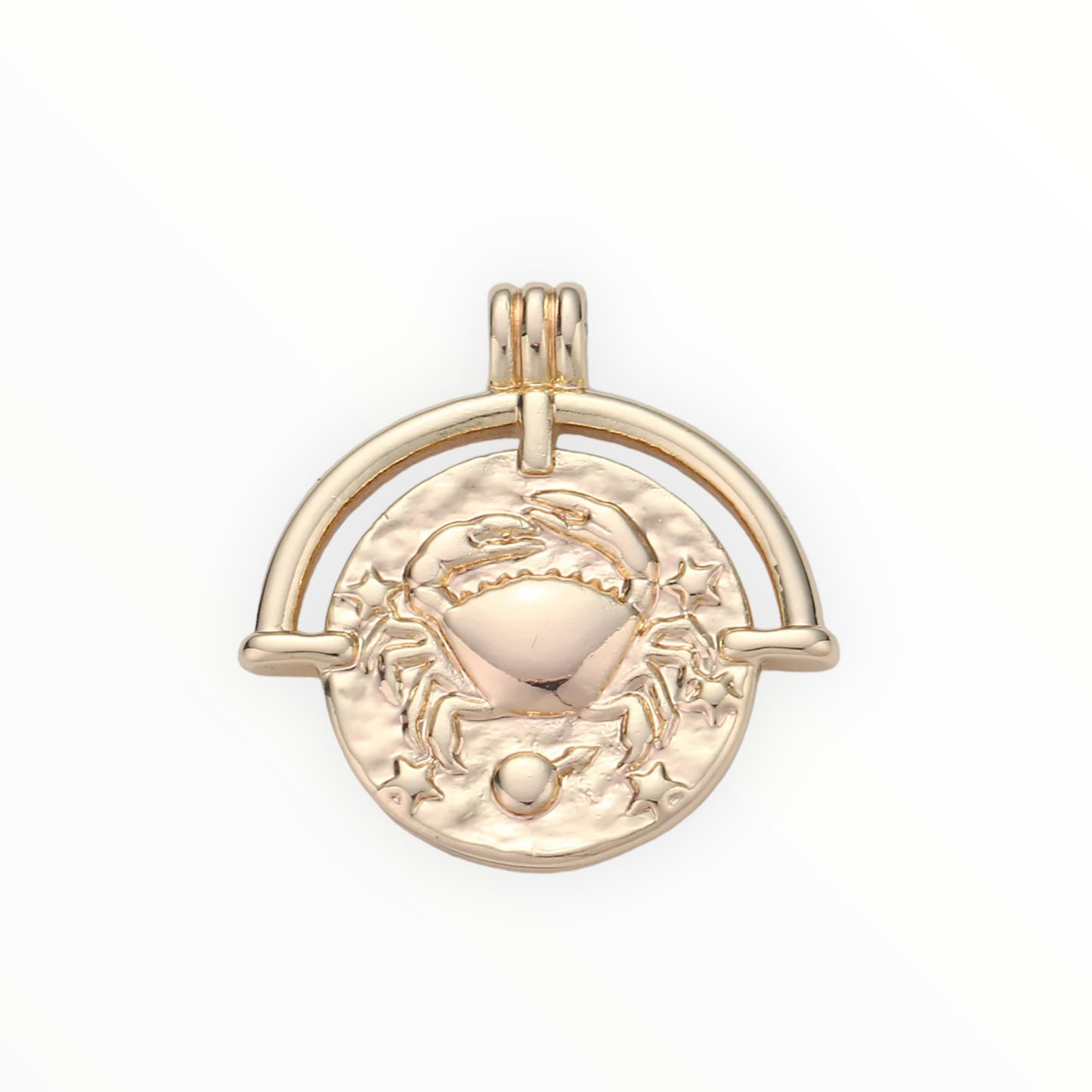 Medallion Zodiac Charm 14k GF