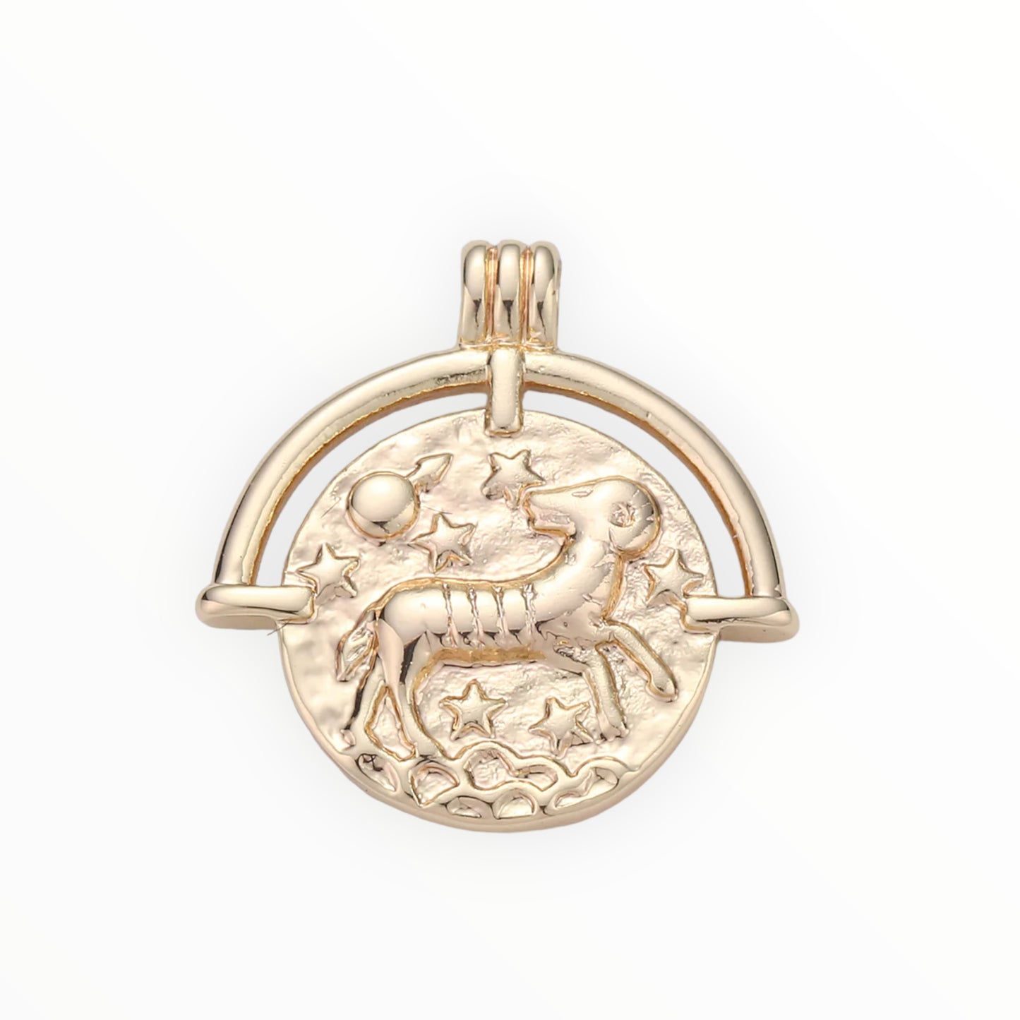 Medallion Zodiac Charm 14k GF