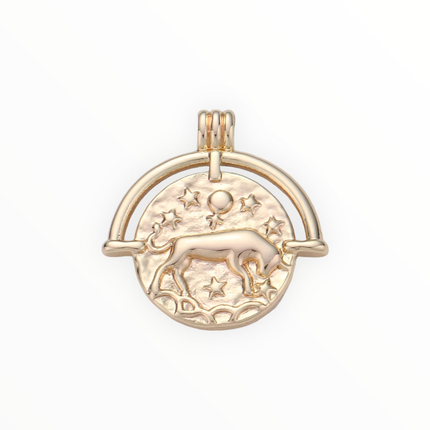 Medallion Zodiac Charm 14k GF